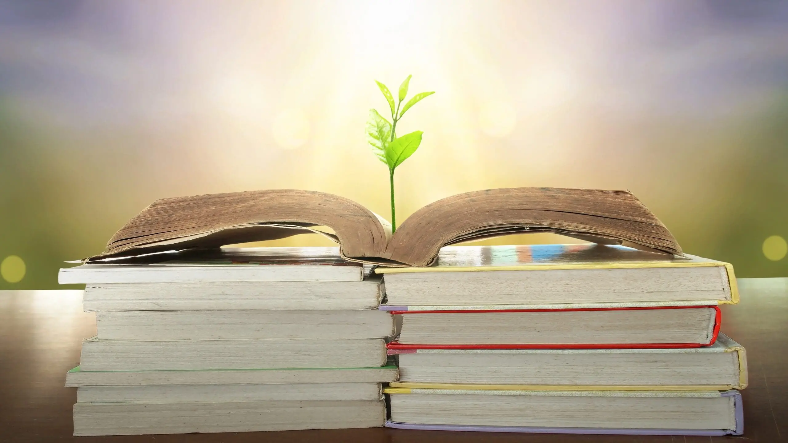How Patents Can Bring Transparency to Sustainability