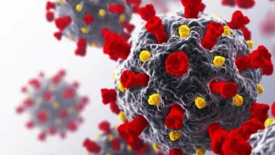 COVID-19 Important Announcement 2