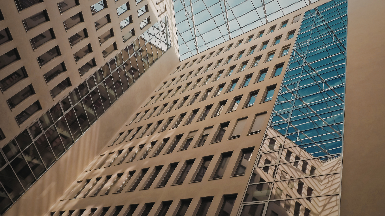 Web image Erganeo x LexisNexis