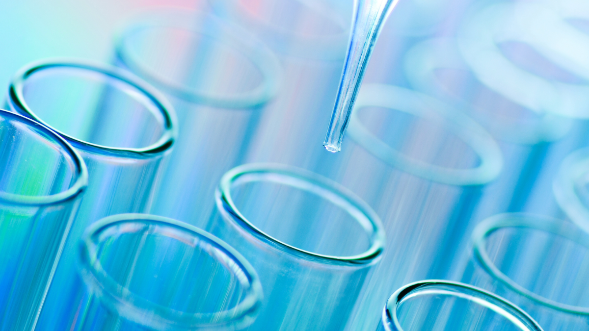 Beyond the Patent Portfolio: What Inventor Networks Reveal About Innovation Risk