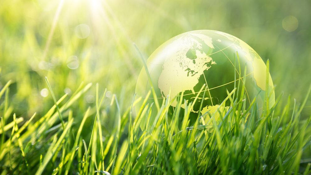 Sustainability Through a Patent Lens