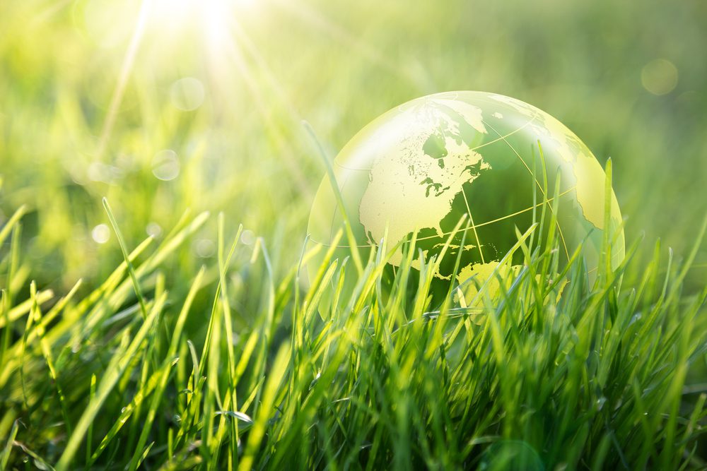 Sustainability through a patent lens