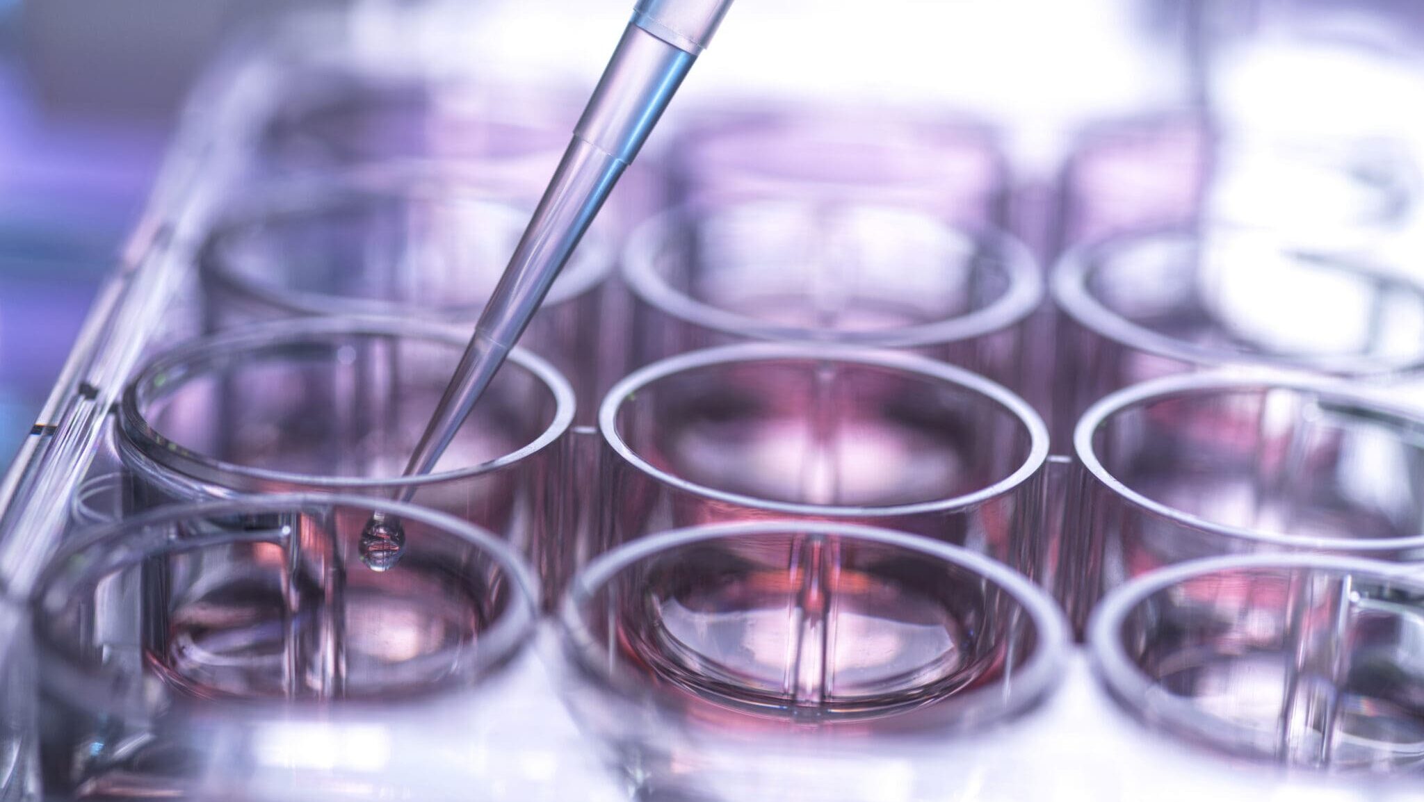 Patent Analytics Reveal the UK’s Most Innovative Startups